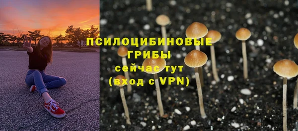 шишки Новый Уренгой