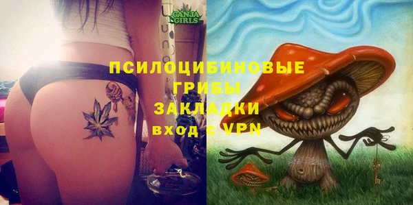 шишки Орехово-Зуево