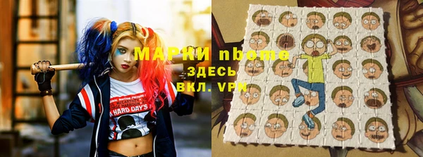 стаф Долгопрудный