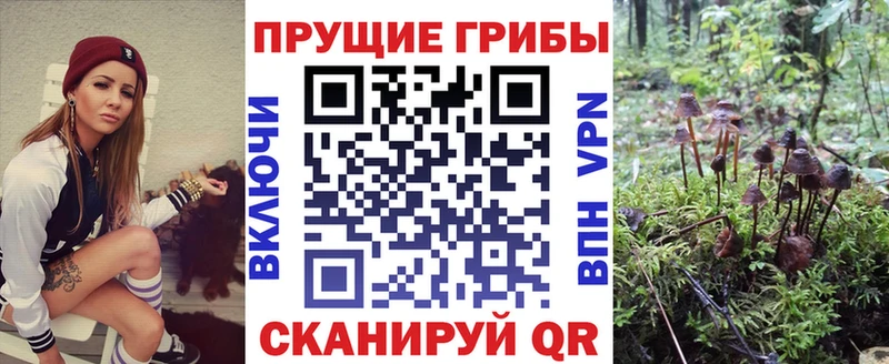 darknet официальный сайт  наркотики  МЕГА вход  Сортавала  Галлюциногенные грибы Psilocybe 